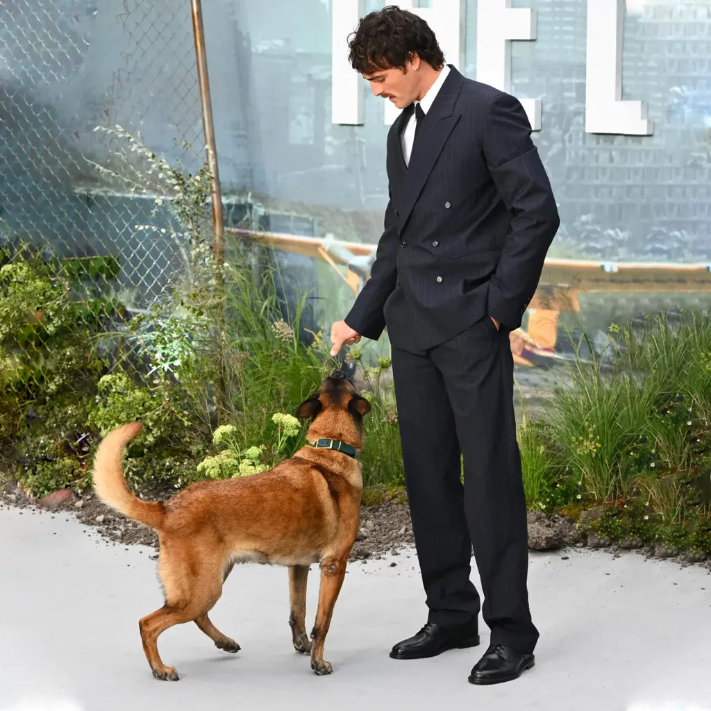 The Dog Stars Event Jacob Elordi Suit